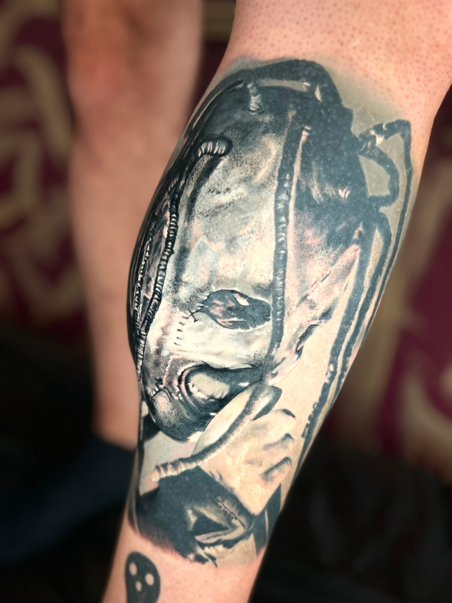 Alien Calf